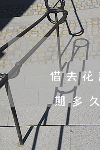 借去花逾期多久會(huì)立案(借去花逾期多久會(huì)立案)