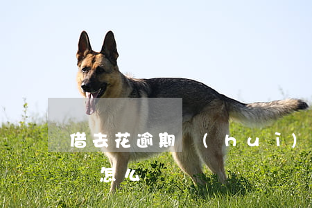 借去花逾期會(huì)被起訴(被借去花 起訴怎么辦)