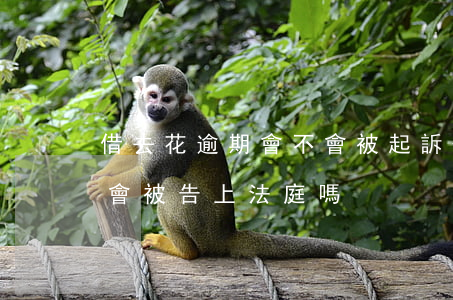 借去花逾期會不會被起訴-借去花逾期一年會被告上法庭嗎