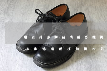 借去花逾期结清后还能再次开通吗-借去花逾期结清后还能再次开通吗安全吗