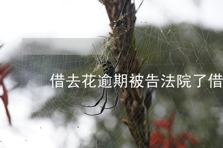借去花逾期被告法院了(借去花會不會被起訴)