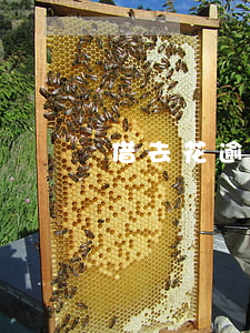 借去花逾期被起訴(借去花逾期一年報警)