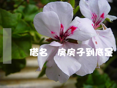 借名買房，房子到底是誰(shuí)的？