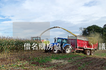 借名購房協(xié)議