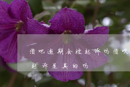 借吧逾期会被起诉吗 借呗逾期两个月了说要起诉是真的吗