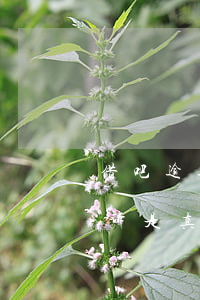 借吧逾期会起诉吗(借呗逾期两个月了说要起诉是真的吗)