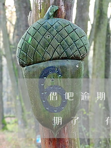借吧逾期后支付寶還能買東西嗎-支付寶逾期了還有什么可以借錢