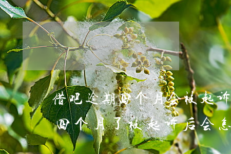 借吧逾期四个月会被起诉吗(支付宝借呗逾期四个月了,被起诉后会怎样)