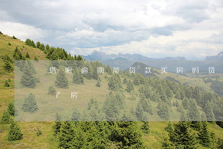 借吧逾期能贷款买房吗(贷款逾期是不是买不了房)