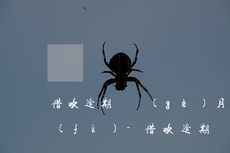 借吹逾期兩個(gè)月還清了多久能灰復(fù)-借吹逾期兩個(gè)月還清了多久能灰復(fù)征信