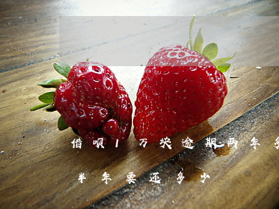 借呗1万块逾期两年多少钱(借呗一万元逾期半年要还多少)