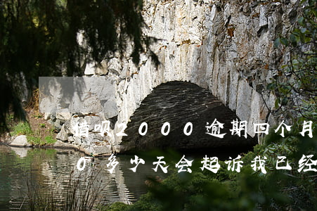 借呗2000逾期四个月(借呗逾期20000多少天会起诉,我已经还了2000多)