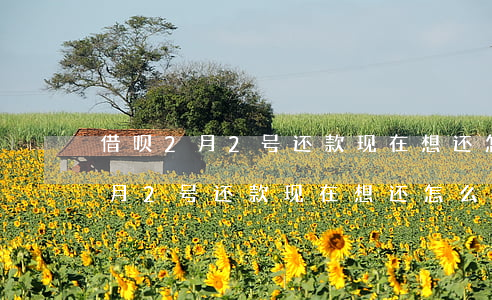 借呗2月2号还款现在想还怎么还-借呗2月2号还款现在想还怎么还不了