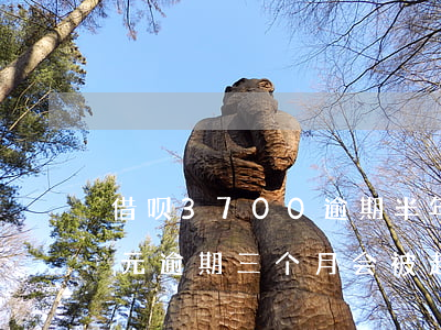 借呗3700逾期半年了(借呗欠10000元逾期三个月会被起诉吗)