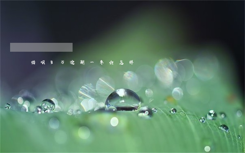 借呗3万逾期一年会怎样
