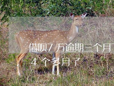借呗7万逾期三个月了(借呗逾期3万多逾期4个多月了)