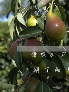 借呗8万逾期三年还能用吗(借呗逾期三千逾期了两年现在可以还钱吗)