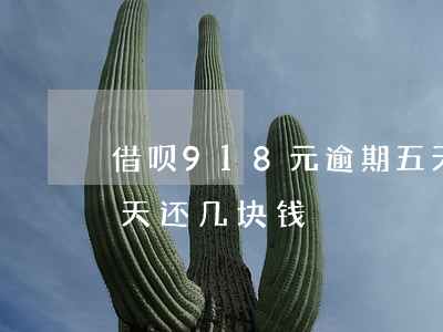 借呗918元逾期五天利息多少(借呗逾期每天还几块钱)