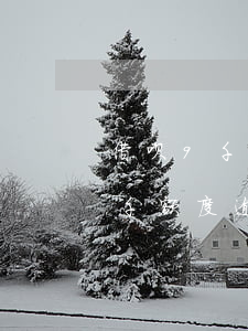 借呗9千额度逾期2天要还多少钱-借呗9千额度逾期2天要还多少钱呢