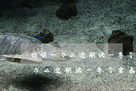 借呗一万二逾期快一年了要来家里-借呗一万二逾期快一年了要来家里催收