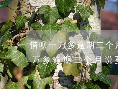 借呗一万多逾期三个月说要起诉我-借呗一万多逾期三个月说要起诉我是真的吗