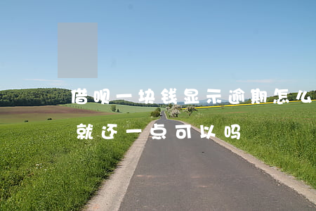 借呗一块钱显示逾期怎么还(借呗逾期了有钱就还一点可以吗)