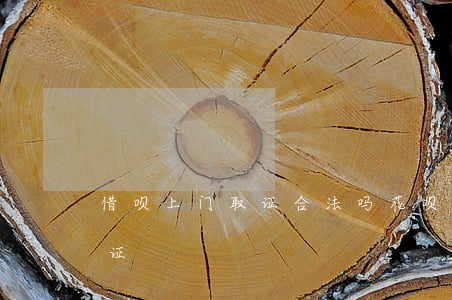 借呗上门取证合法吗(花呗借呗说要去家里取证)
