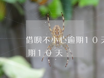 借呗不小心逾期10天会怎样（借呗不小心逾期10天）