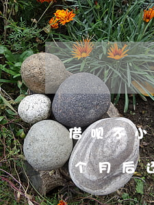 借呗不小心逾期一个月会怎么样(借呗逾期一个月后还款后还能使用吗?)