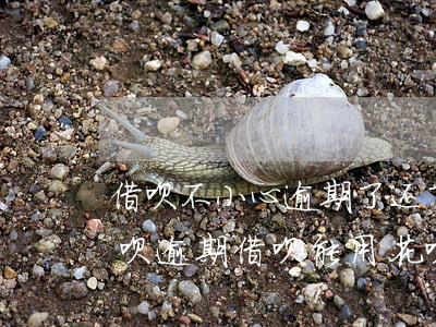 借呗不小心逾期了,还了,花呗怎么还不能用（借呗逾期借呗能用花呗用不了）
