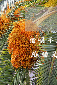 借呗不给借是因为没有还款能力吗-借呗不给借是因为没有还款能力吗怎么办