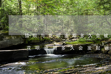 借呗与花呗逾期多久会被起诉-支付宝借呗花呗逾期多久会发起诉讼