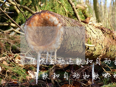 借呗主动还款和自动扣款哪种好-借呗主动还款和自动扣款哪种好一点