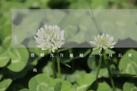 借呗九万逾期三个月后果(借呗逾期九天严重吗)