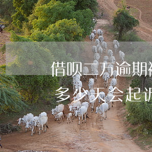 借呗二万逾期被起诉会怎样(借呗2万多逾期多少天会起诉,我已经还了2000多)