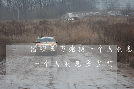 借呗五万逾期一个月利息多少(借呗五万逾期一个月利息多少啊)