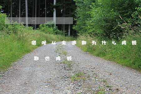 借呗从未逾期为什么降额(借呗为什么没有逾期也降额)