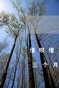 借呗借了1700逾期了(借呗8000逾期三个月)