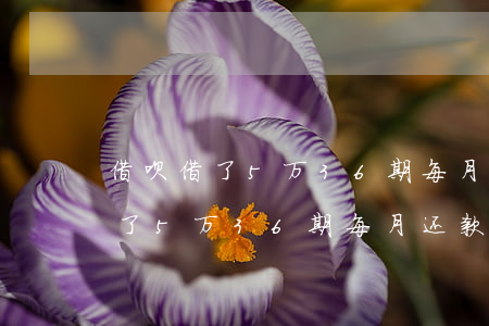 借呗借了5万36期每月还款多少-借呗借了5万36期每月还款多少钱呢