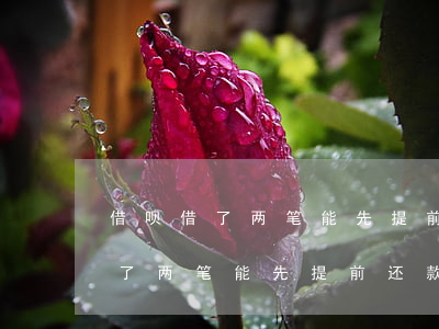 借呗借了两笔能先提前还款一笔吗-借呗借了两笔能先提前还款一笔吗怎么还