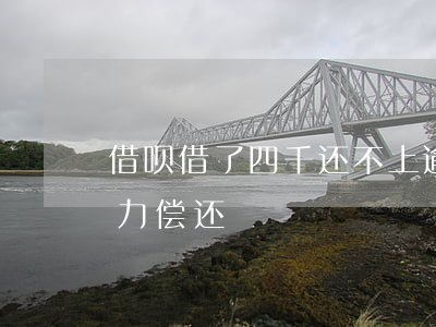 借呗借了四千还不上逾期了（借呗借40万无力偿还）