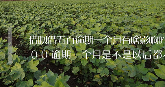 借呗借五百逾期一个月有啥影响吗-借呗500逾期一个月是不是以后都不能用了?