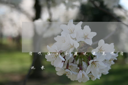 借呗催欠 打通讯录(花呗借呗多久催款打给通讯录)