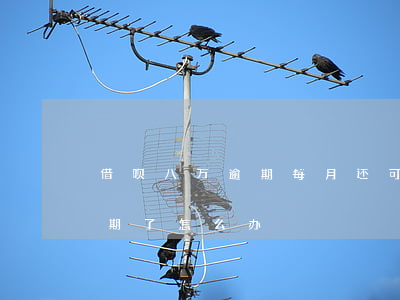借呗八万逾期每月还可以吗(借呗欠了8万逾期了怎么办)