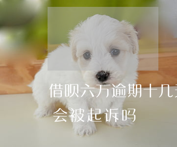 借呗六万逾期十几天被起诉(借呗逾期60天会被起诉吗?)