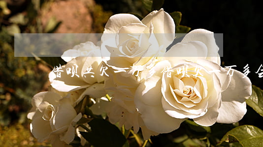 借呗共欠一万多(借呗欠一万多会被起诉吗)
