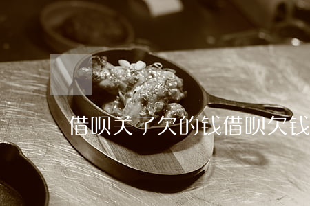 借呗关了欠的钱(借呗欠钱被关闭了)
