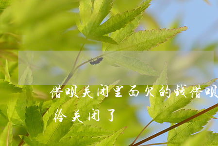 借呗关闭里面欠的钱(借呗还有欠款没还怎么给关闭了)