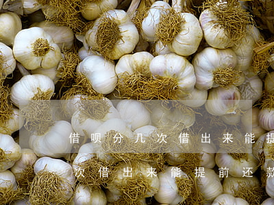 借呗分几次借出来能提前还款吗-借呗分几次借出来能提前还款吗安全吗