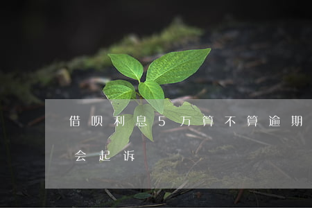 借呗利息5万算不算逾期(借呗逾期4w多久会起诉)